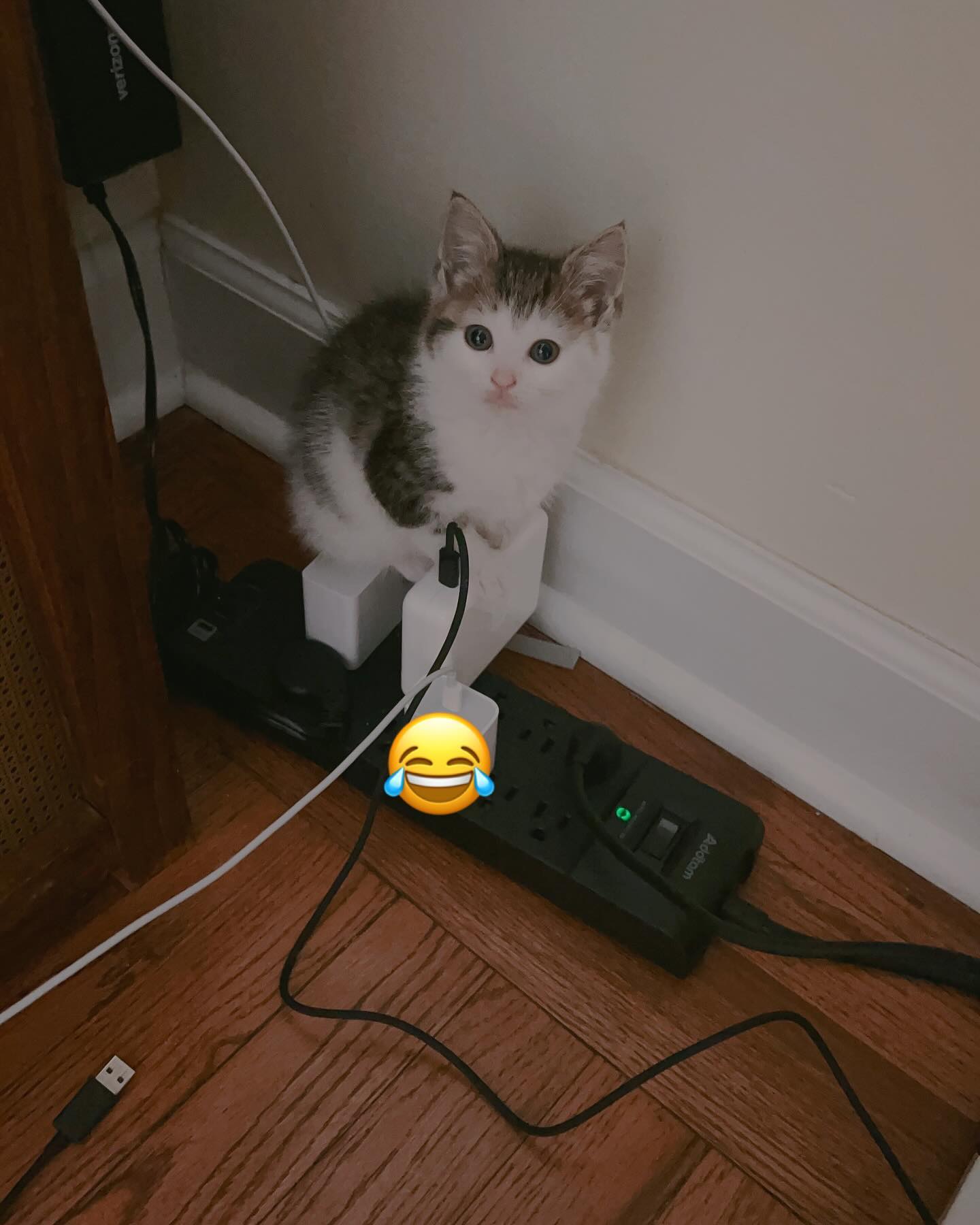 Of All the Places in This Apartment