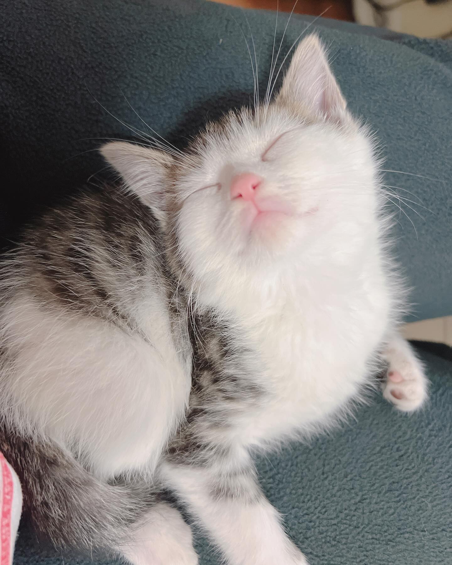Dreaming of Something Good