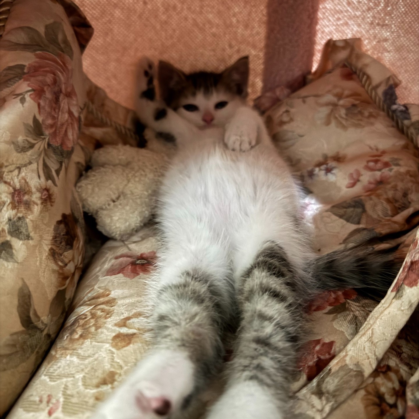 Maximum Comfort, Minimum Dignity