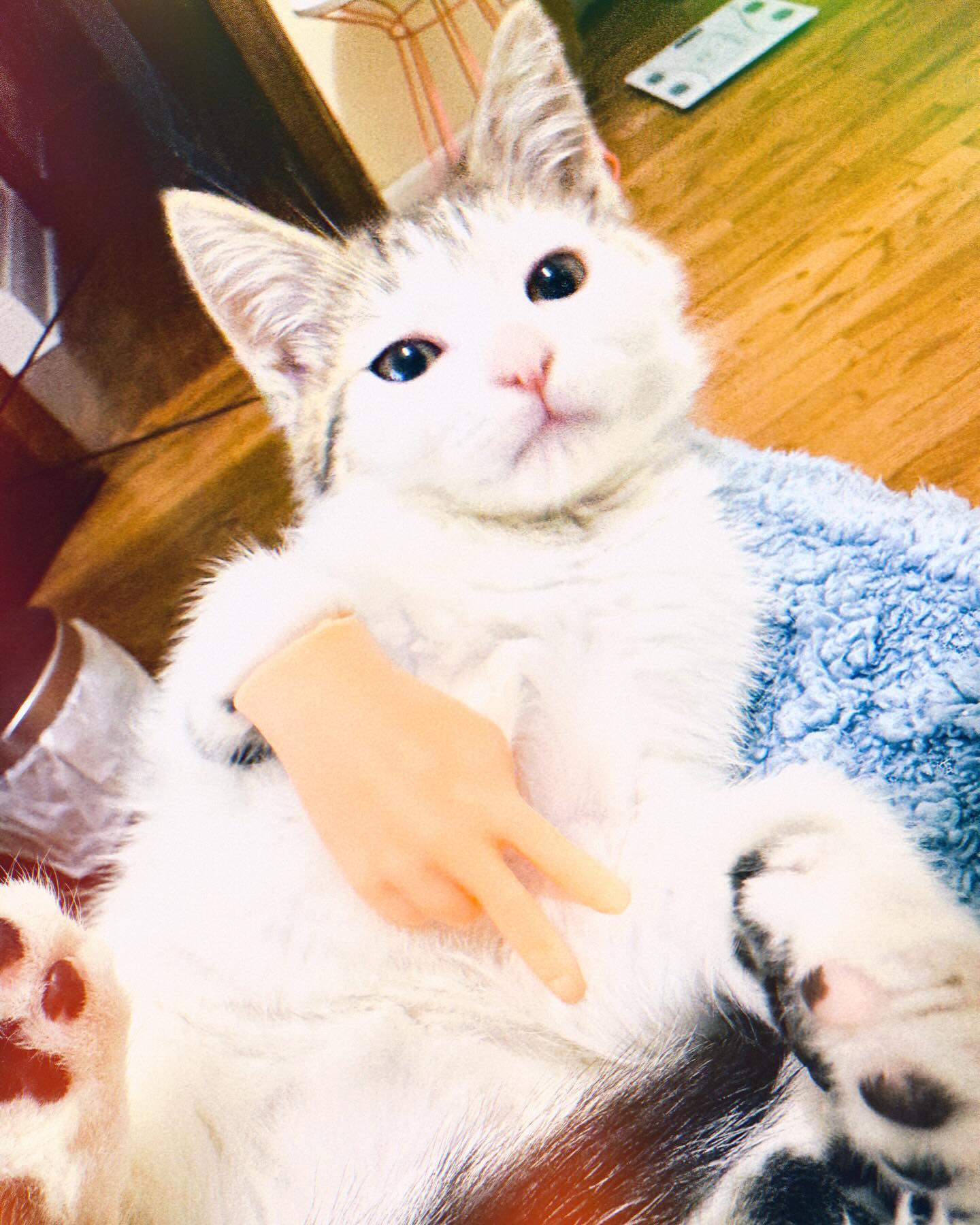 Holding Hands with a Toy