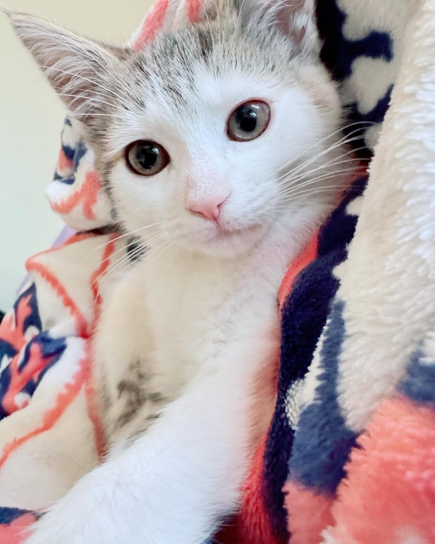 Getting More Photogenic Every Day