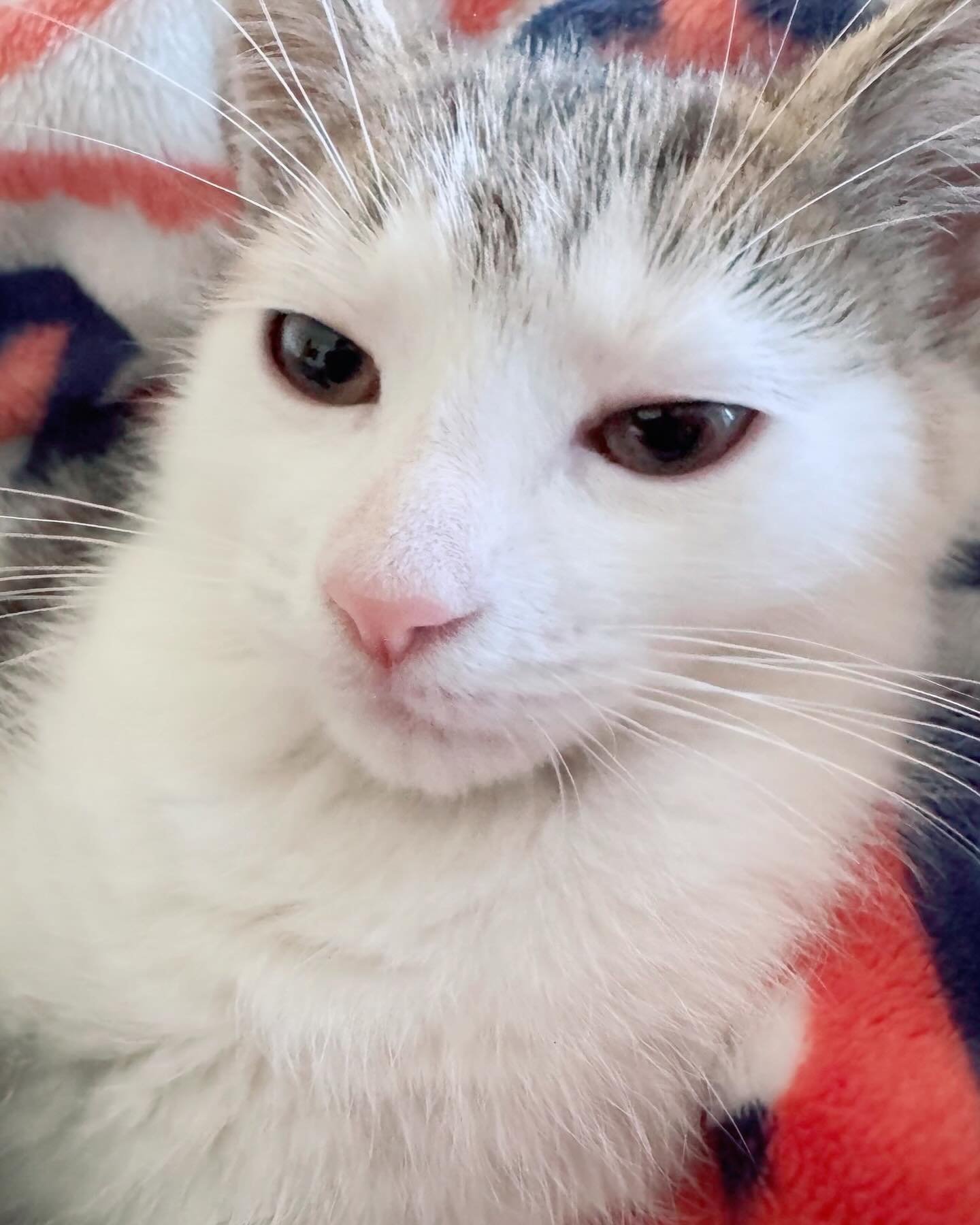 The Stare That Gets Her Everything