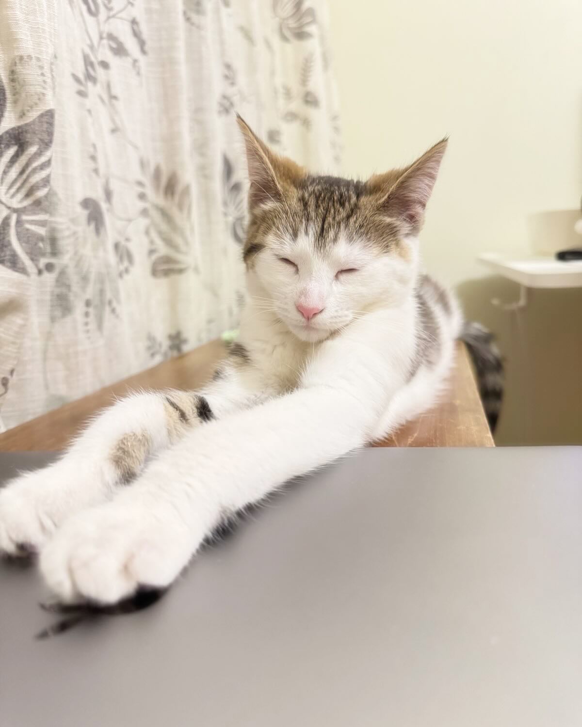 Productivity Has Left the Building