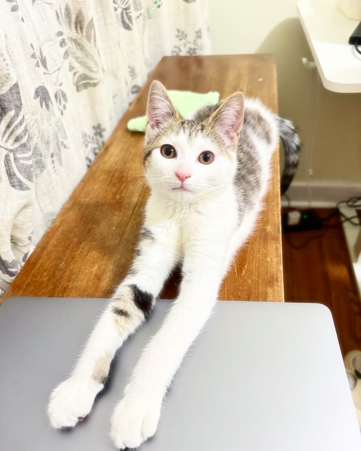 Those Eyes Mean Trouble