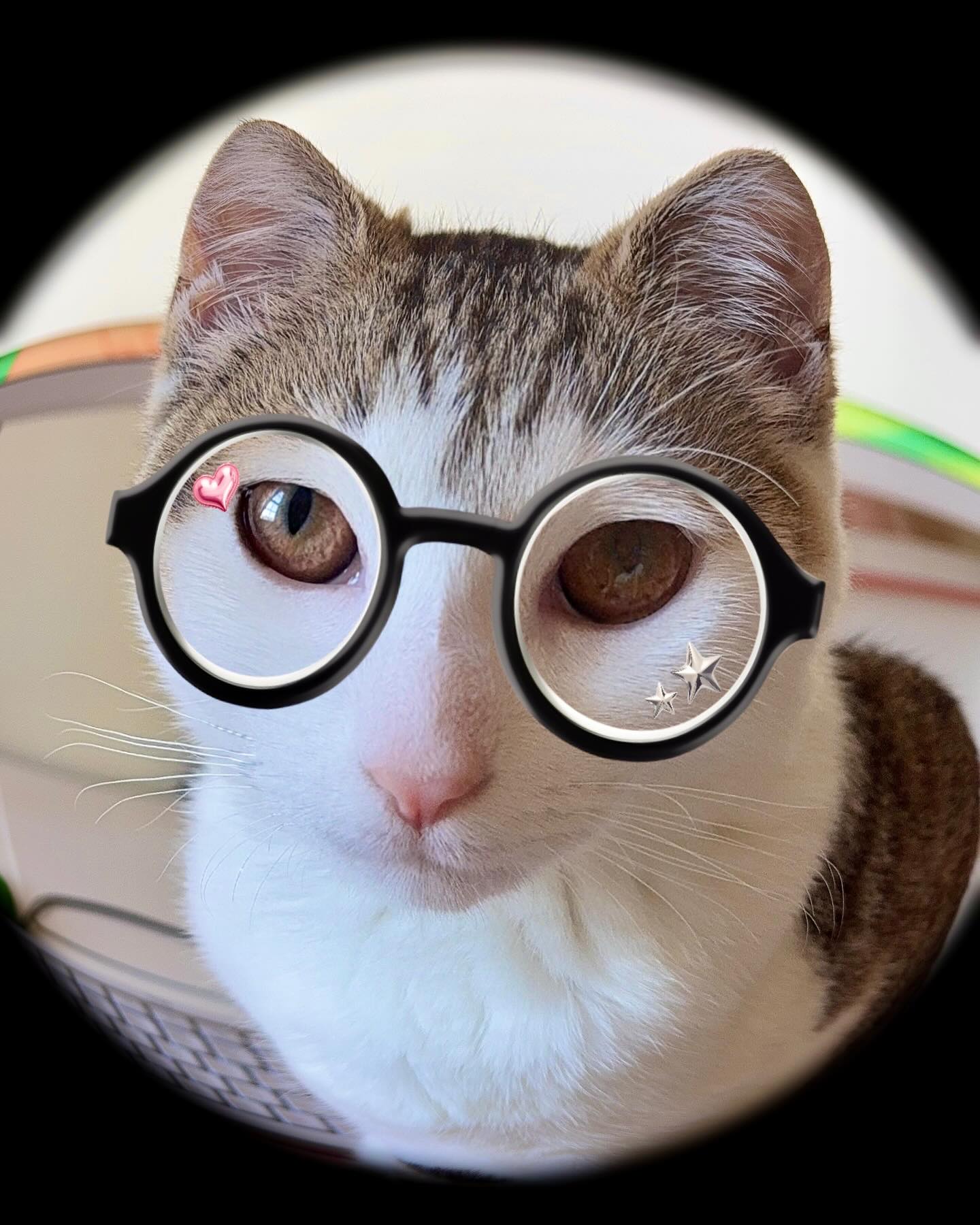 Professor Luna Will See You Now