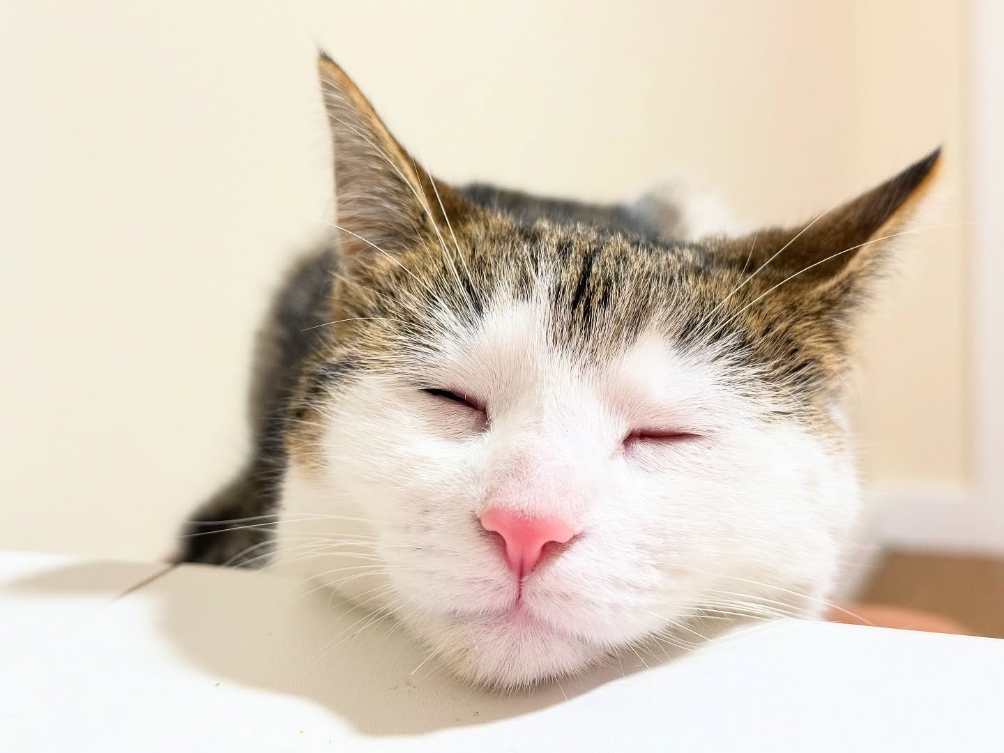 Peak Inner Peace