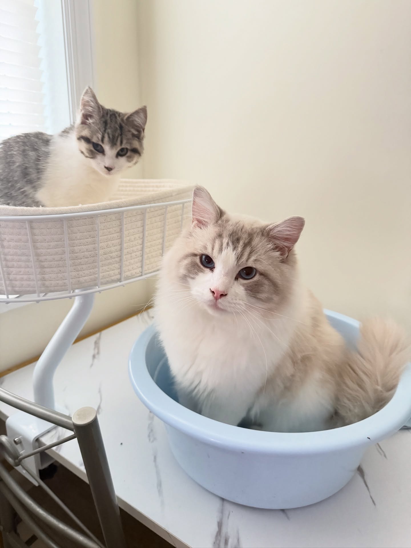 Their Spot Now
